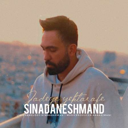 Sina Daneshmand – Jadeye Yektarafe